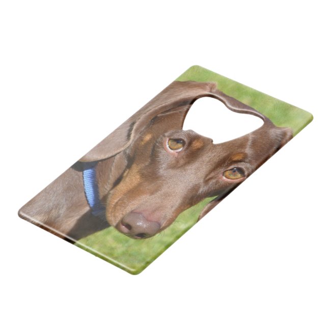 Dackel Geldbeutel Flaschenöffner (Vorderseite Schrägansicht)