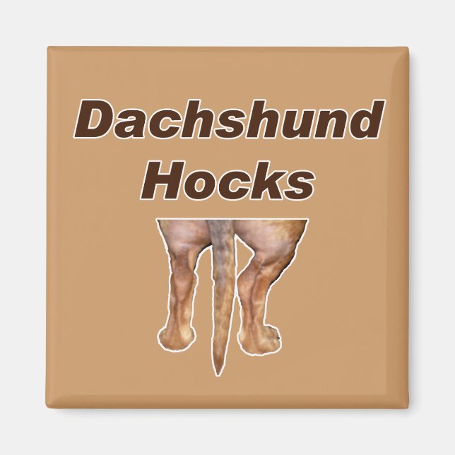 Dackel Hocks Magnet (Vorne)