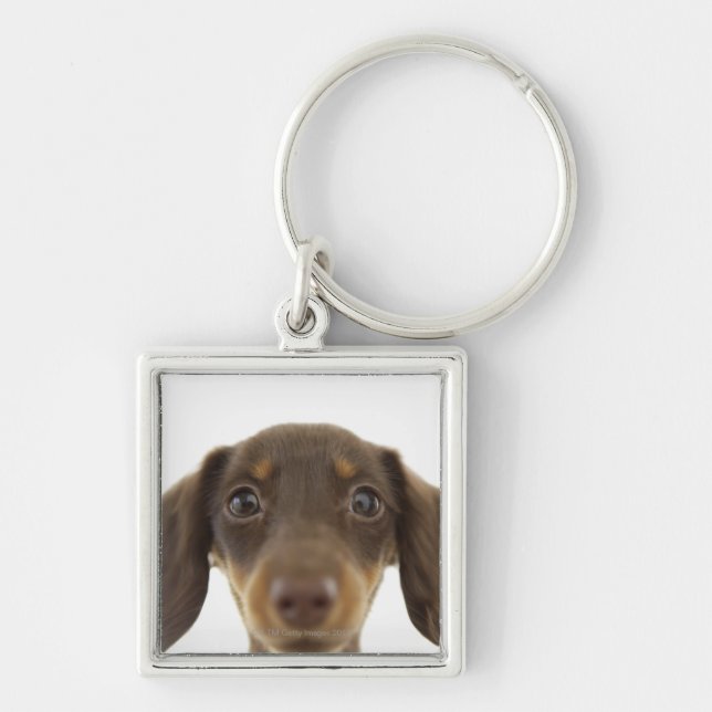 Dackel-Hund (Braun) 2 Schlüsselanhänger (Vorne)