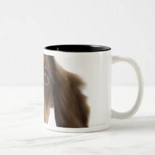 Dackel-Hund (Braun) 2 Zweifarbige Tasse