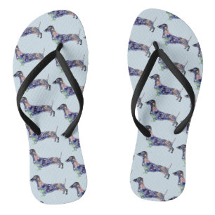 Dackel-Hund drehen Reinfälle um Flip Flops