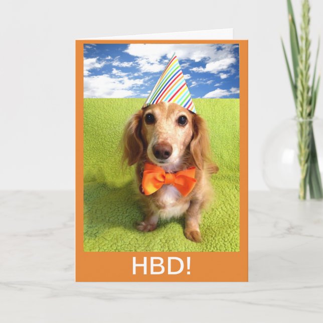 Dackel Hund HBD Karte (Vorderseite)