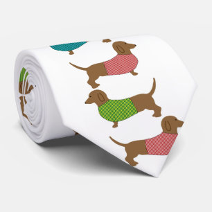 Dackel Hund im Pullover Krawatte