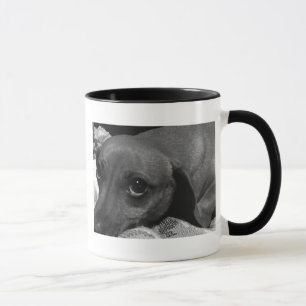 Dackel-Hund mit traurigen Augen in Schwarzweiss Tasse