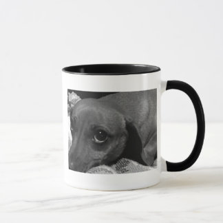 Dackel-Hund mit traurigen Augen in Schwarzweiss Tasse