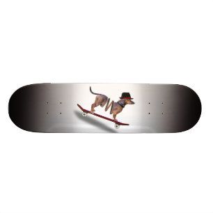 Dackel Hund Skateboarder Skateboard