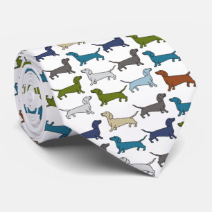 Dackel Hund Welpe Vater Rasse mehrfarbig Krawatte