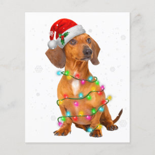 Dackel Hunde Bäume Weihnachten Weihnachten Weihnac Flyer