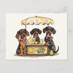 Dackel Hunde Lemonade Stand Postkarte