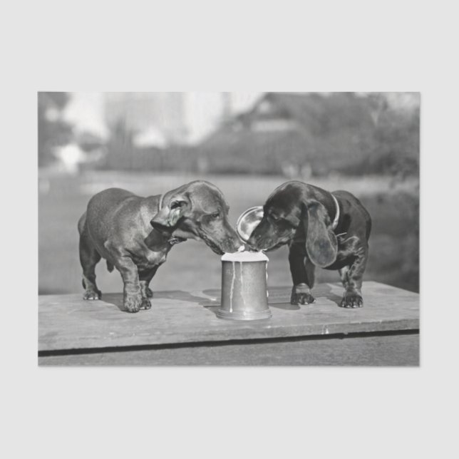 Dackel Hunde trinken Bier Seidenpapier (Vorderseite)