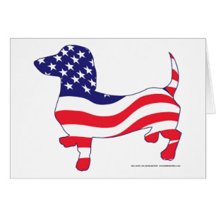 Dackel in der amerikanischen Flagge