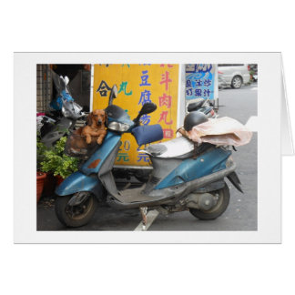 Dackel in Korbkarten