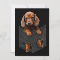 Dackel in meiner Pocket-Dackel Weiner Dog Geschenk