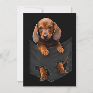 Dackel in meiner Pocket-Dackel Weiner Dog Geschenk Einladung