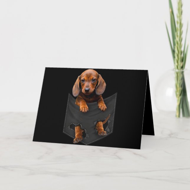 Dackel in meiner Pocket-Dackel Weiner Dog Geschenk Karte (Vorderseite)