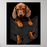 Dackel in meiner Pocket Dackel Weiner Dog Geschenk