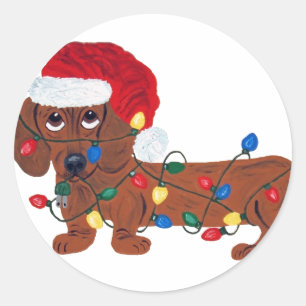 Dackel in Weihnachtslichter verheddert (Rot) Runder Aufkleber