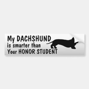 Dackel - intelligenter als Ehrenstudent - lustig Autoaufkleber