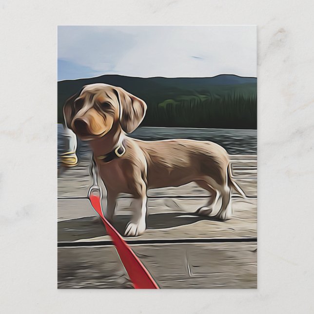 Dackel ist besser mit Dackel zum Geburtstag Postkarte (Vorderseite)