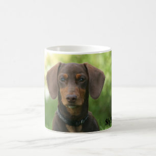 Dackel Kaffeetasse