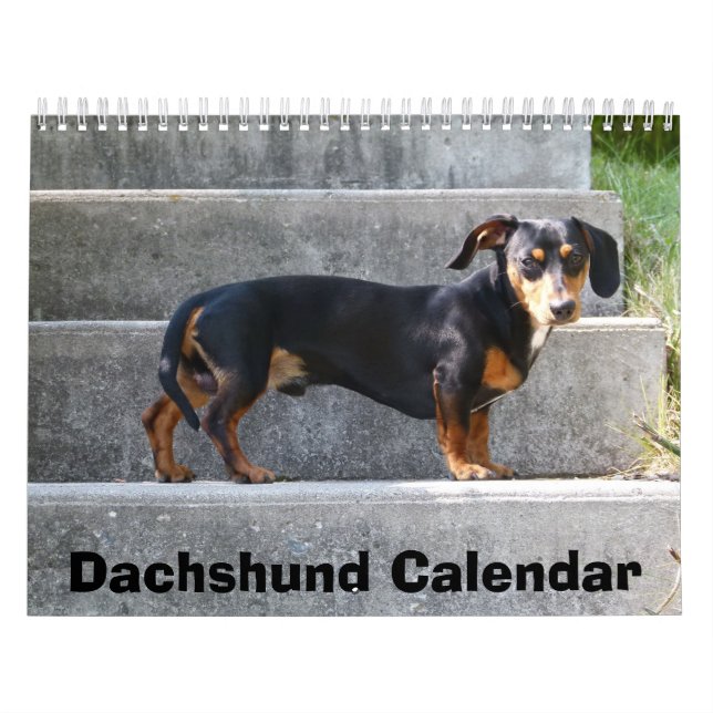 Dackel Kalender 2016 Fotos hinzufügen (Titelbild)