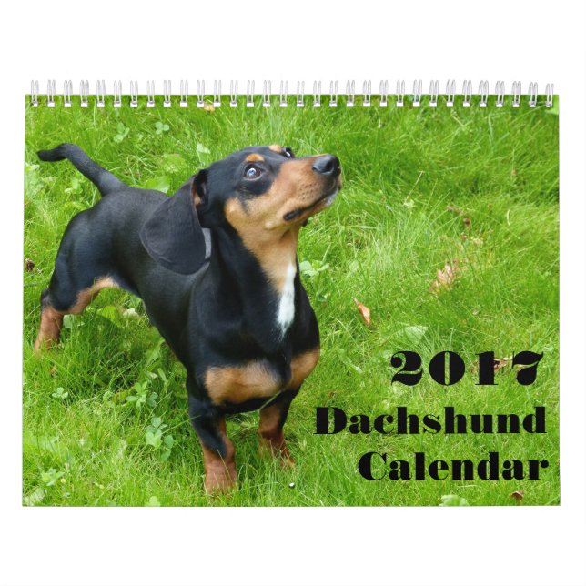 Dackel Kalender 2023 mit Ihren Fotos (Titelbild)