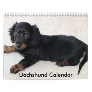 Dackel Kalender 2023 Personalisierte Fotos