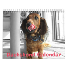 Dackel Kalender 2026 Fotos hinzufügen