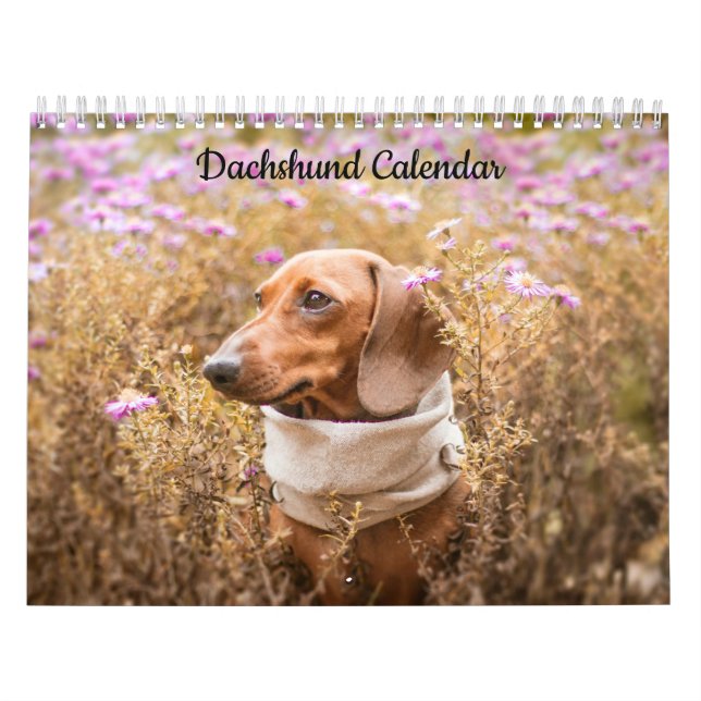 Dackel-Kalender für das benutzerdefinierte Jahr Kalender (Titelbild)
