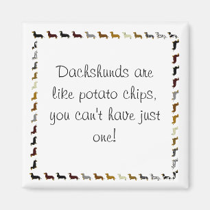 Dackel-kann nicht nur einen haben magnet