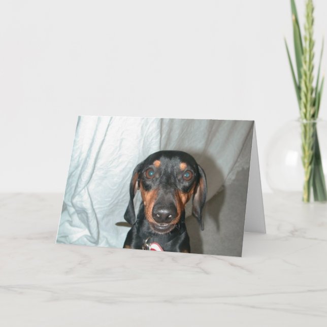 Dackel Karte (Vorderseite)