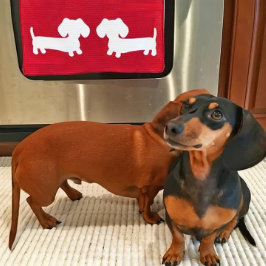 Dackel Küche Geschirr Handtuchwaffel Geschirrtuch