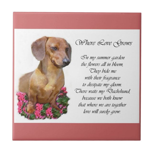 Dackel Kunstgeschenke Fliese (Vorderseite)