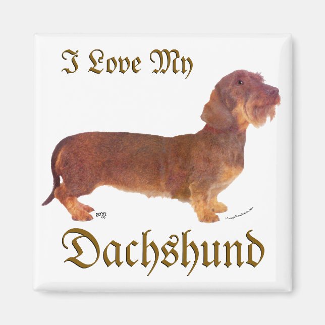 Dackel Liebe Magnet (Vorne)
