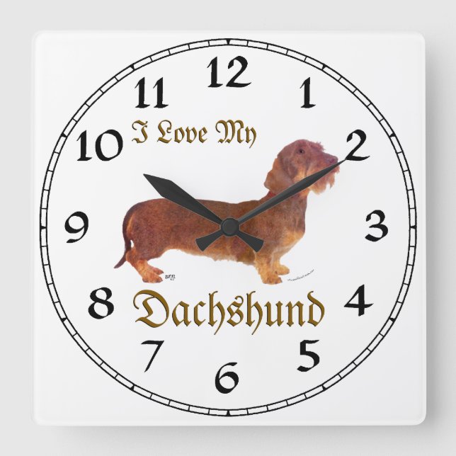 Dackel Liebe Quadratische Wanduhr (Vorderseite)