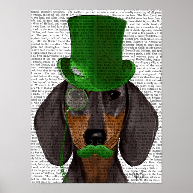 Dackel mit Green Top Hat Black Tan Poster (Vorne)