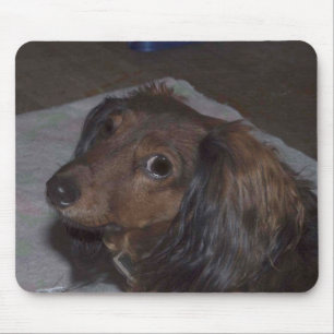 Dackel Mousepad