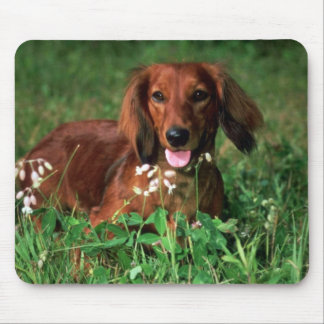 Dackel Mousepad