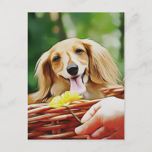 Dackel Person Hand zeigen eine Blume zu einer Dack Postkarte