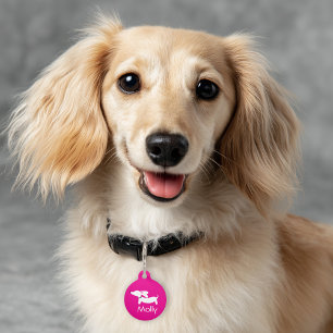 Dackel Pink Charm Personalisierter Name Kontakt Haustiermarke
