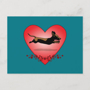 Dackel Postkarte