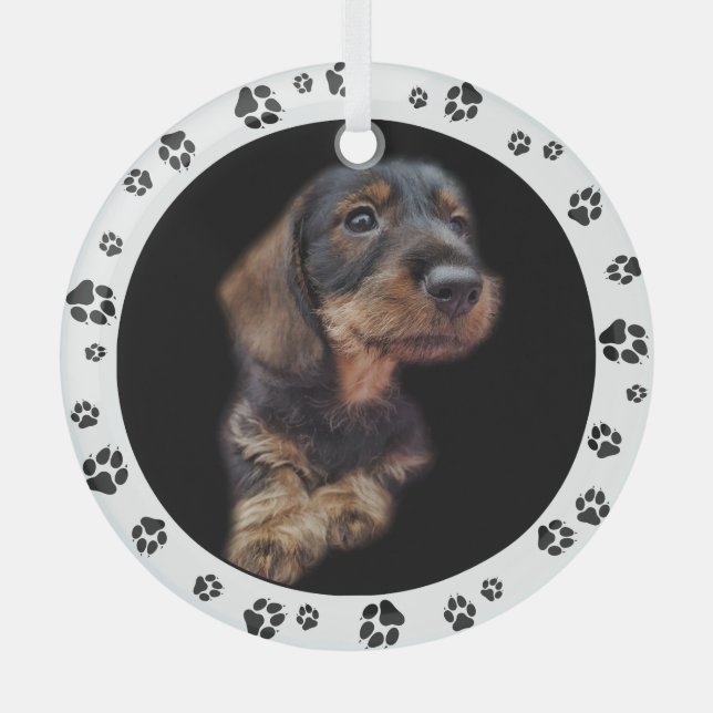 Dackel Puppy Foto Paw Prints Ornament Aus Glas (Vorderseite)