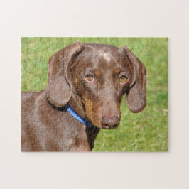 Dackel Puzzle