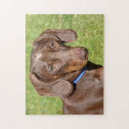 Dackel Puzzle