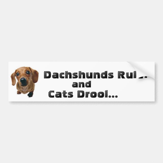 Dackel-Regel! und Katzen-Geifer… Autoaufkleber (Vorne)