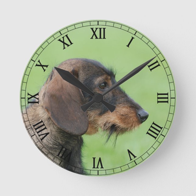 Dackel Runde Wanduhr (Vorderseite)