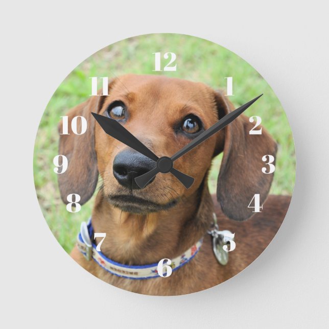 Dackel Runde Wanduhr (Vorderseite)