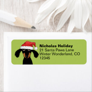 Dackel Santas Niedliche Weihnachtsfeier Dackel Ans