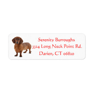 Dackel Schokolade Brauner Welpenhund Roter Hund