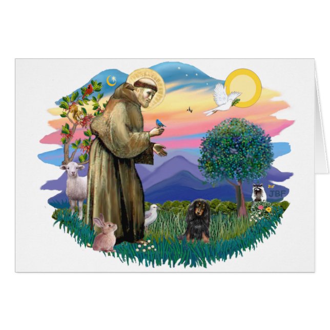 Dackel (schwarz-braun mit langen Haaren) (Vorderseite (Horizontal))